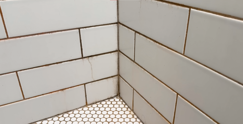 Home bathroom mold