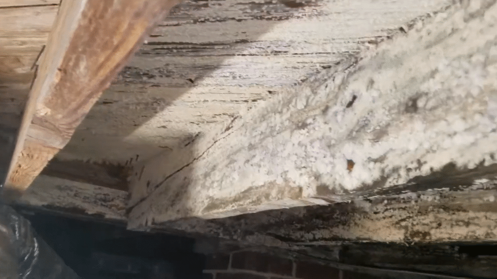 Home crawl space before