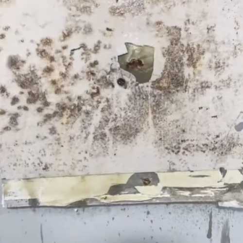 verical mold